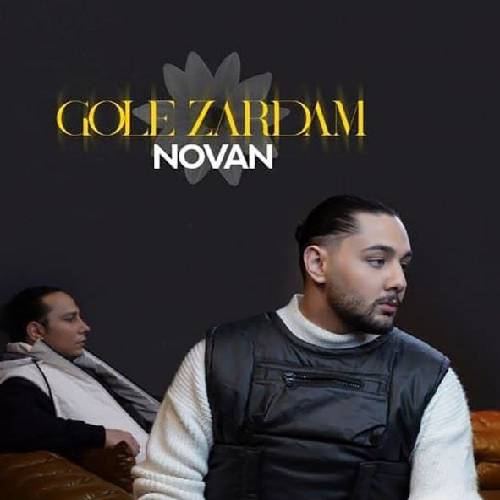 دانلود آهنگ گل زردم نوان